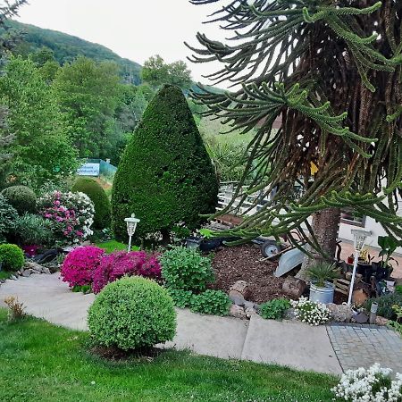Evia Ferienwohnung Heimbach Dış mekan fotoğraf