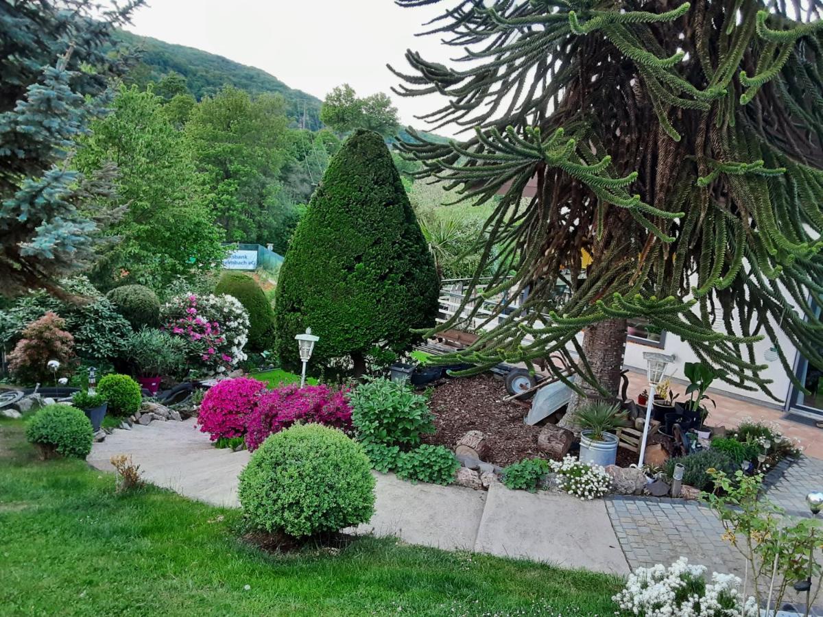 Evia Ferienwohnung Heimbach Dış mekan fotoğraf